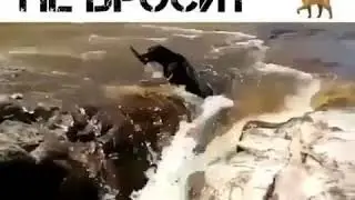 Вахш. Вахш. Вахш. 3 02 21г