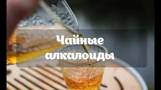 Что такое теин? Где больше теина, в зеленом или черном чае?