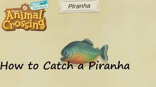 Animal Crossing: New Horizons - How to Catch a Piranha