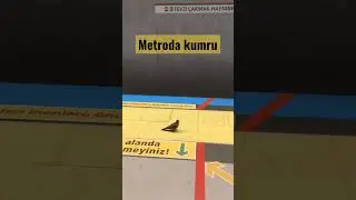 #kumru #shorts #short #metro