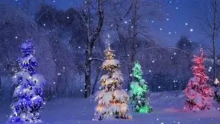 Falling Snow and Christmas Trees Ambience -- Lofi Beats