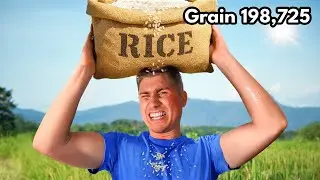 How Many Grains of Rice Can I Lift?