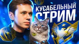 Стрим Warface  ( ❄️ ТЕСТИРУЮ КЛЕШНИ НА РМ ❄️ )