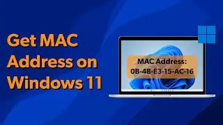 How to Find MAC Address on Windows 11