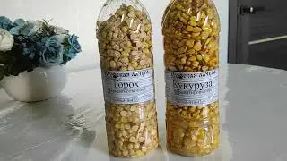 Супер наживка на рыбалку в АСТРАХАНЬ. Ферментированная кукуруза и горох.