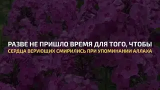 Mamdouh Emad | Сура 57 Аль-Хадид | Красивое чтение Корана