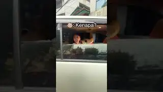 Sedih Boneka Boba aku Hilang ! Siapa yang ambil?