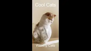 Cool Cats - Wealthy Cats