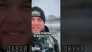 Погнали за окунем? 🎣 