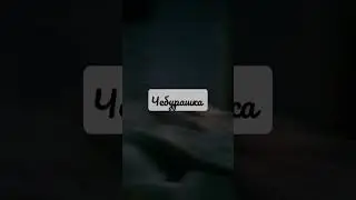 21 ноября 2023.г