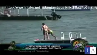 Tempat Dan Habitat Unik Hewan