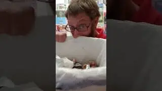 Chadeo Sniffs 