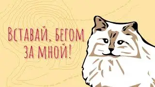 #Бегом за котом - благотворительный онлайн забег!
