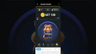 Hamster kombat. Комбо на сегодня. Хомяк тапалка.