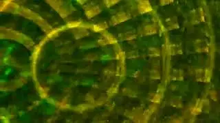 Green similator  backround ,7screen