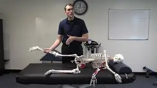 PRI Hip Abduction Testing - What Are We Looking At?
