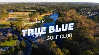 True Blue Review Teaser 😬