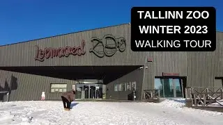 City walks series - Tallinn, Estonia ( Tallinn Zoo at winter | walking tour )