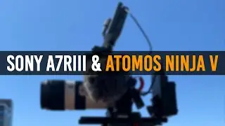 Sony a7RIII S-Log3 & S-Gamut3 with Atomos Ninja V - Comparing Internal Recording & ProRes 422 HQ