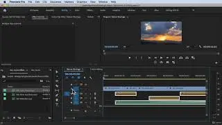 How to Use Track lock and Sync lock