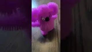 интерактивная коала зажигательная