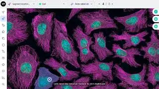 V7 - Training Data Platform for Digital Pathology Imaging AI Teams