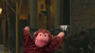 Banana Monkey at Troy