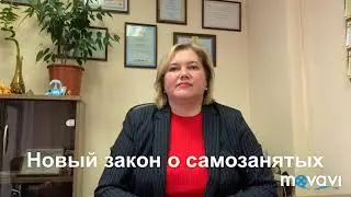 Закон о самозанятых