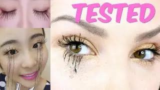 DDK 4D Lashes - How long will they go? | TESTING BEAUTY MYTHS & LIFE HACKS