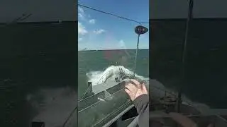 чуть не потонули