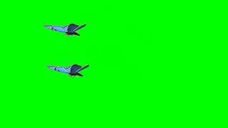 Green Screen Blue Butterfly Flying and Landing