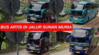 BUS ARTIS DI JALUR WISATA SUNAN MURIA | MINGGU 24 NOVEMER 2024