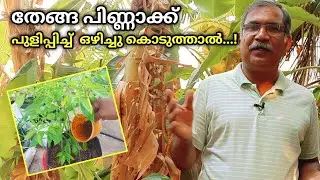 കടല പിണ്ണാക്കിന് പകരം,തേങ്ങ പിണ്ണാക്ക് പുളിപ്പിച്ച് ഒഴിച്ചു കൊടുക്കാമോ?|How to use coconut cake|QA64