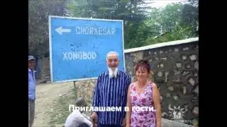 Мы с тобой, Дильбар!!!