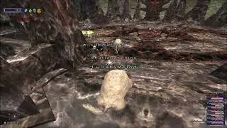 FFXI Double Dragonian Ksmn destroyers