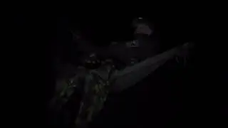 ПВД-FAIL 18+