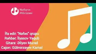 Ay işığında