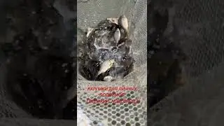 КАРПУНДЕЛИ!