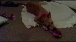 08042010008.mp4