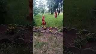 19 июня 2024 г.