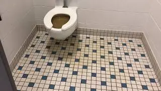 School toilet flood AGAIN