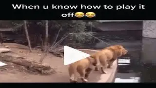The most unfunny Instagram Reels ever