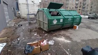Василеовстровские реали