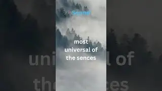 #8 Hearing is the most universal of the senses