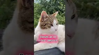 5 августа 2024 г.