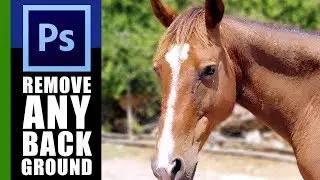 Remove background from image photoshop cc