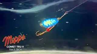 Comet TRU-V - #3 TBCH