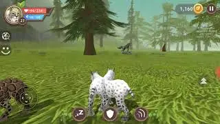 Wild Craft