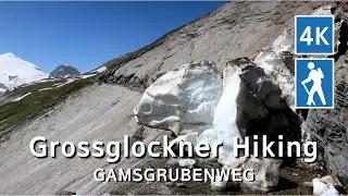 🇦🇹 GAMSGRUBENWEG, Grossglockner Trekking on Kaiser-Franz-Josefs-Höhe Trail, Marmots fighting | 4K