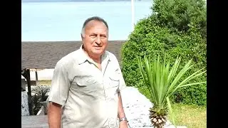 Аура любви